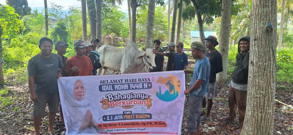 Wagub Sulteng Serahkan Satu Ekor Sapi Kurban Untuk Warga Beka