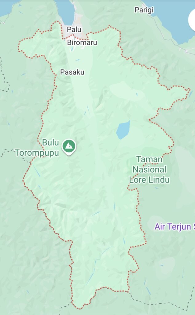 Dijuluki Emas Hitam, Sigi Punya Potensi Kopi Lokal yang Sangat Khas