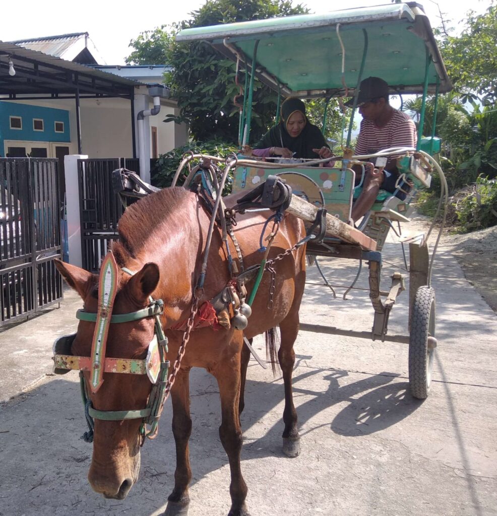 Anggota DPRD Palu Dorong Pelestarian Dokar