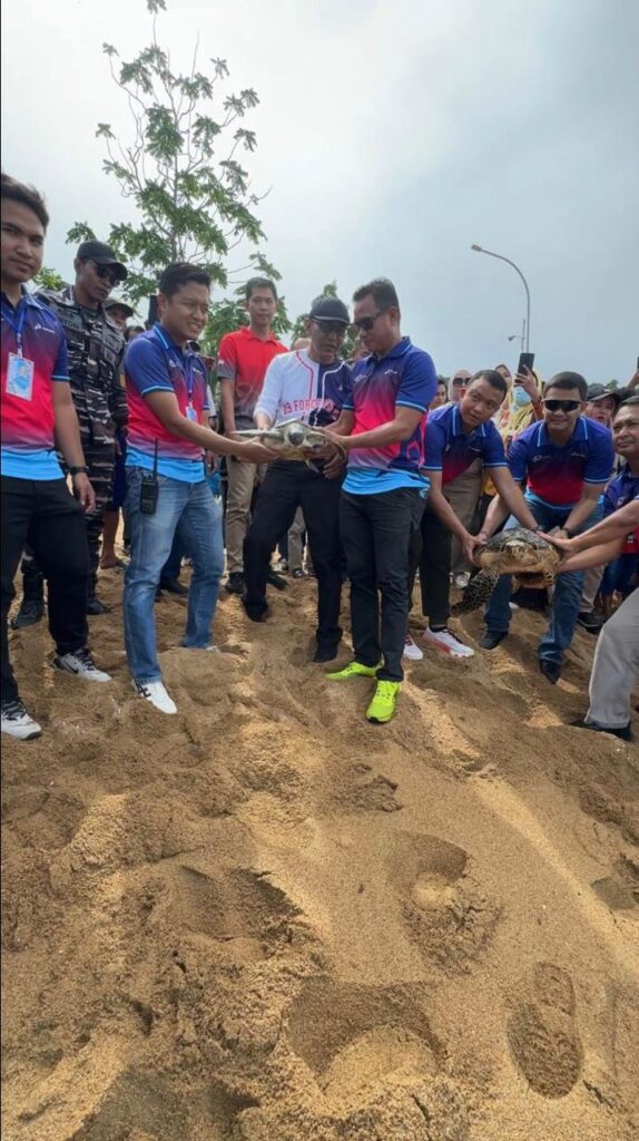 Wujud Kepedulian Lingkungan, Pertamina Melepasliarkan Penyu dan Burung Maleo di Tolitoli