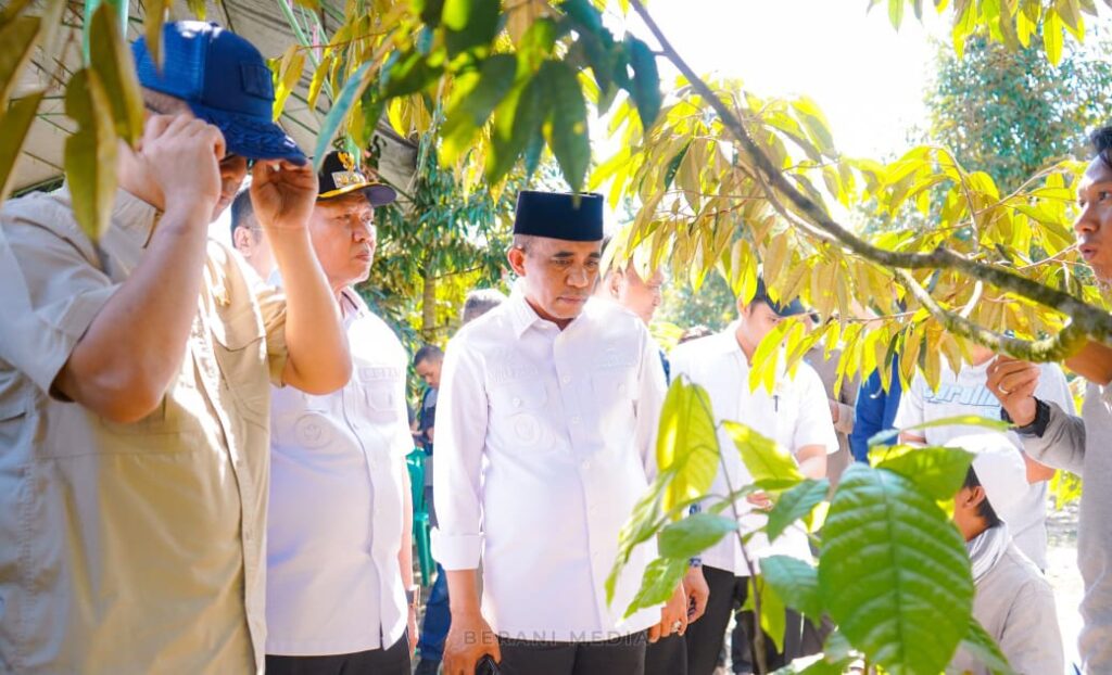 SMK Khusus Kopi Akan Dibangun di Lembantongoa Sigi