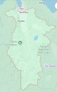 Dijuluki Emas Hitam, Sigi Punya Potensi Kopi Lokal yang Sangat Khas