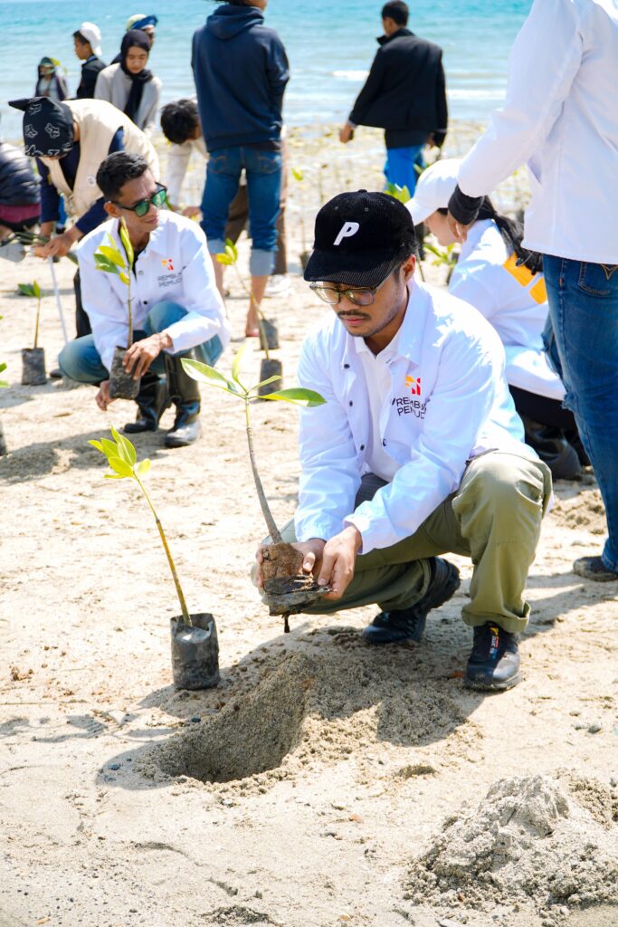 Rembuk Pemuda Sulteng Tanam 70.000 Mangrove di Pesisir Pantai Palu