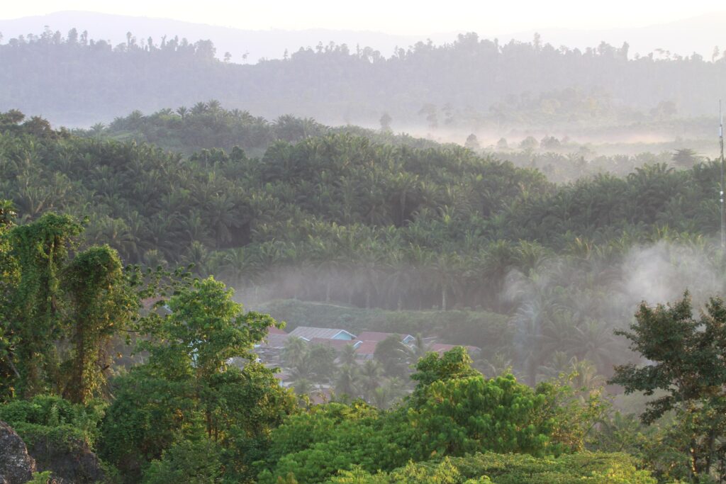 PT ANA Tegaskan Komitmen Kepatuhan Hukum, Pengurusan HGU Terus Berproses