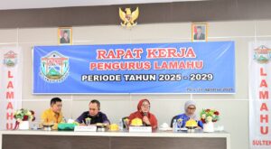 Pentingnya Ormas dalam Menjaga dan Mengawal Demokrasi