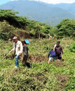 Lahan Eks Likuifaksi Balaroa Jadi Hutan Belantara, Warga Ancam Bangun Akses Jalan
