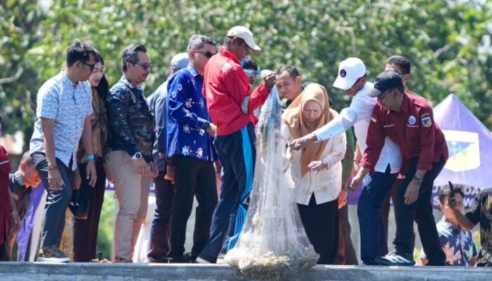 Budidaya Udang Vaname Pilar Ekonomi Biru di Sulteng 