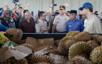 Gubernur Anwar Hafid Lepas 459 Ton Durian ke Tiongkok, Sulteng Siap Jadi Raja Durian Dunia
